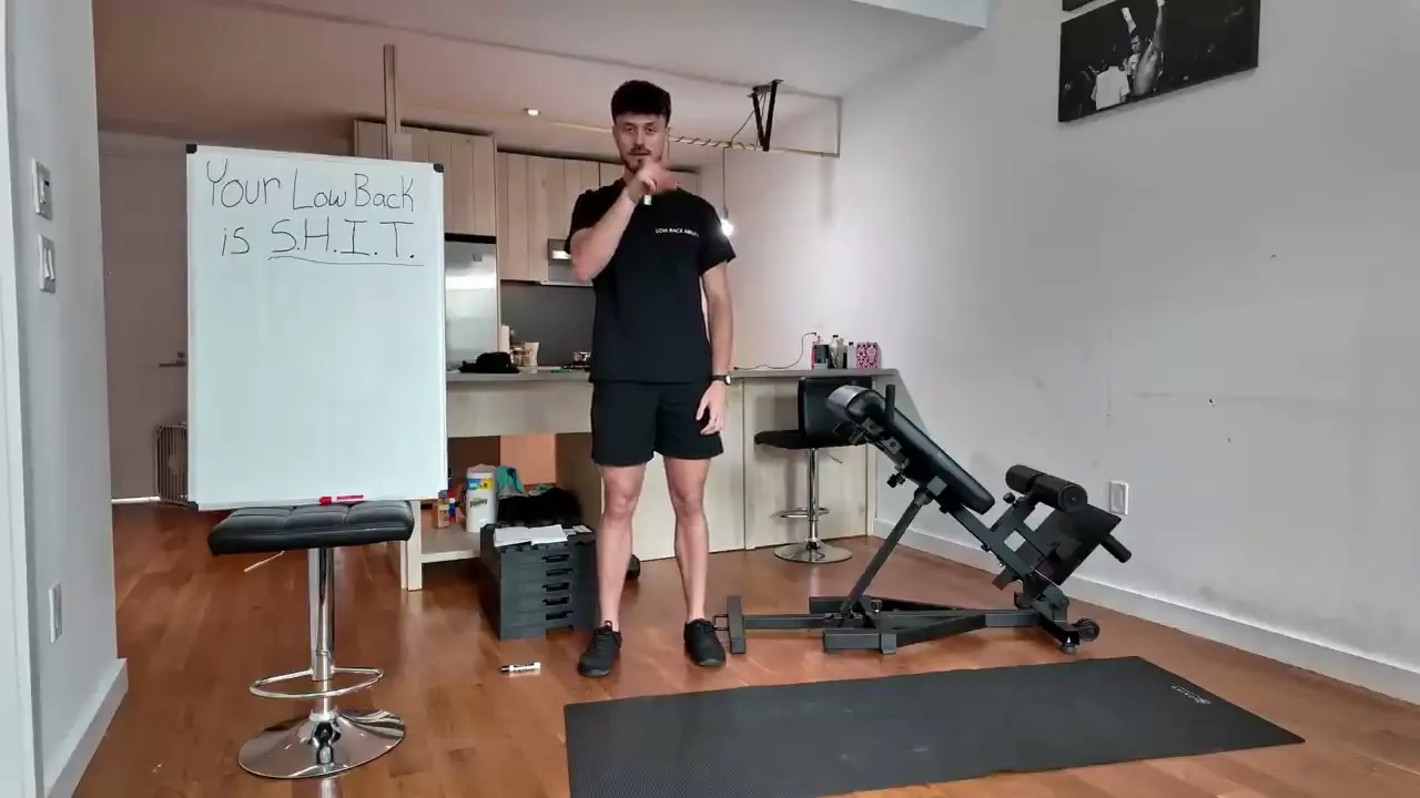 Core Anatomy Drawing